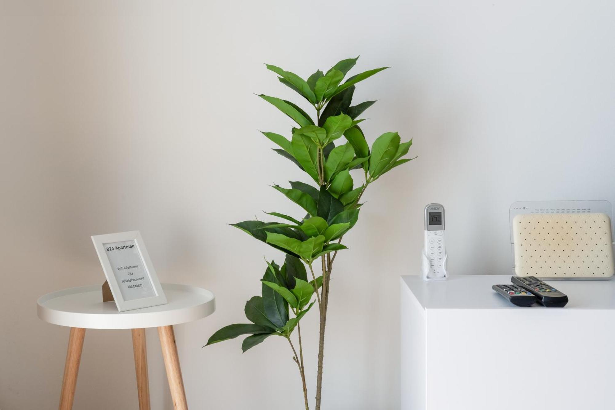 Myflat Club 218 Gold Ii Wellness Apartment